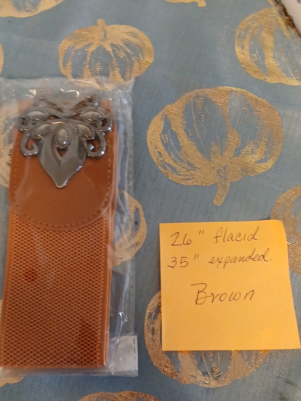 Women's Brown Stretch Belt with Decorative Silver Buckle